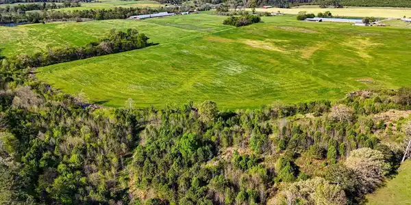 Image 3: 16-1625 Red Hill Valley Rd-16