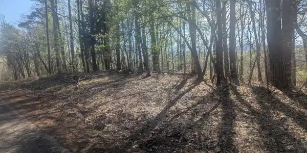 Image 3: PXL_20260402_142617575.MP