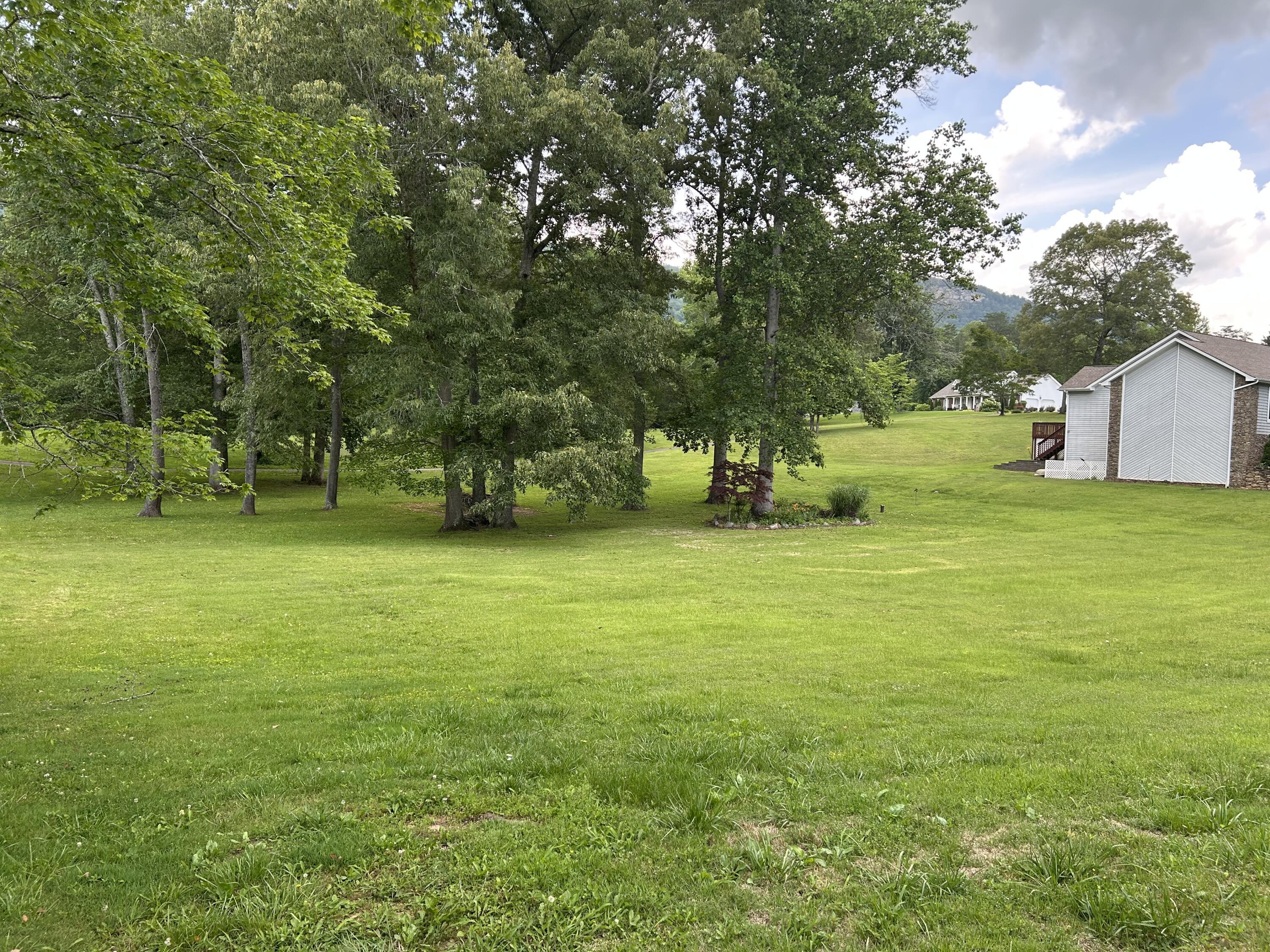 Image 3: IMG_2487