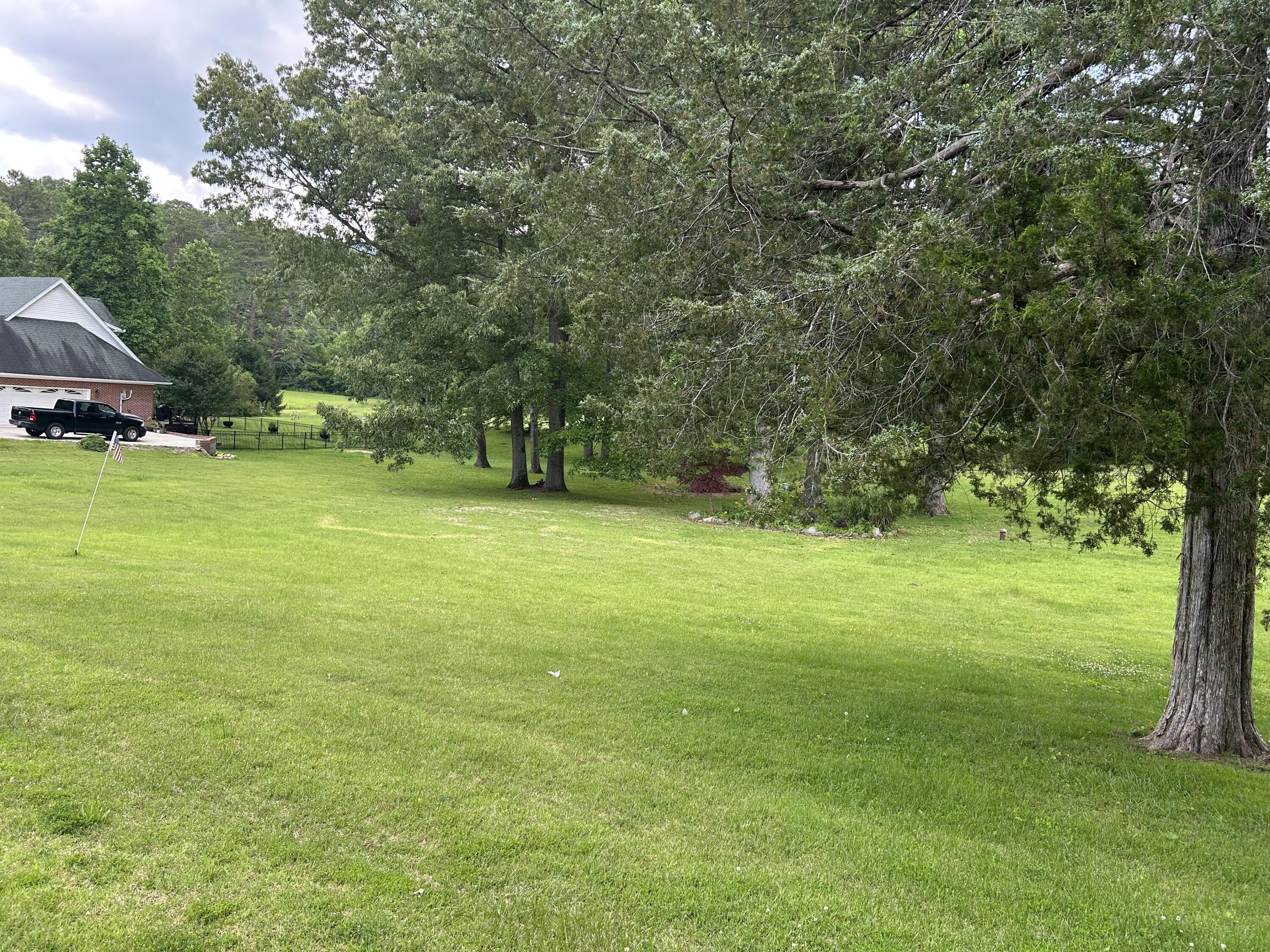 Image 4: IMG_2488