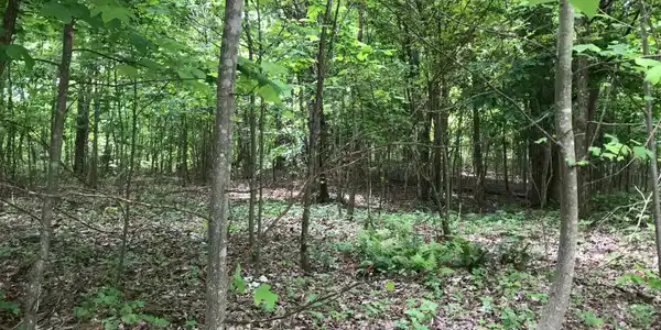 Lot 512 Wilderness Way