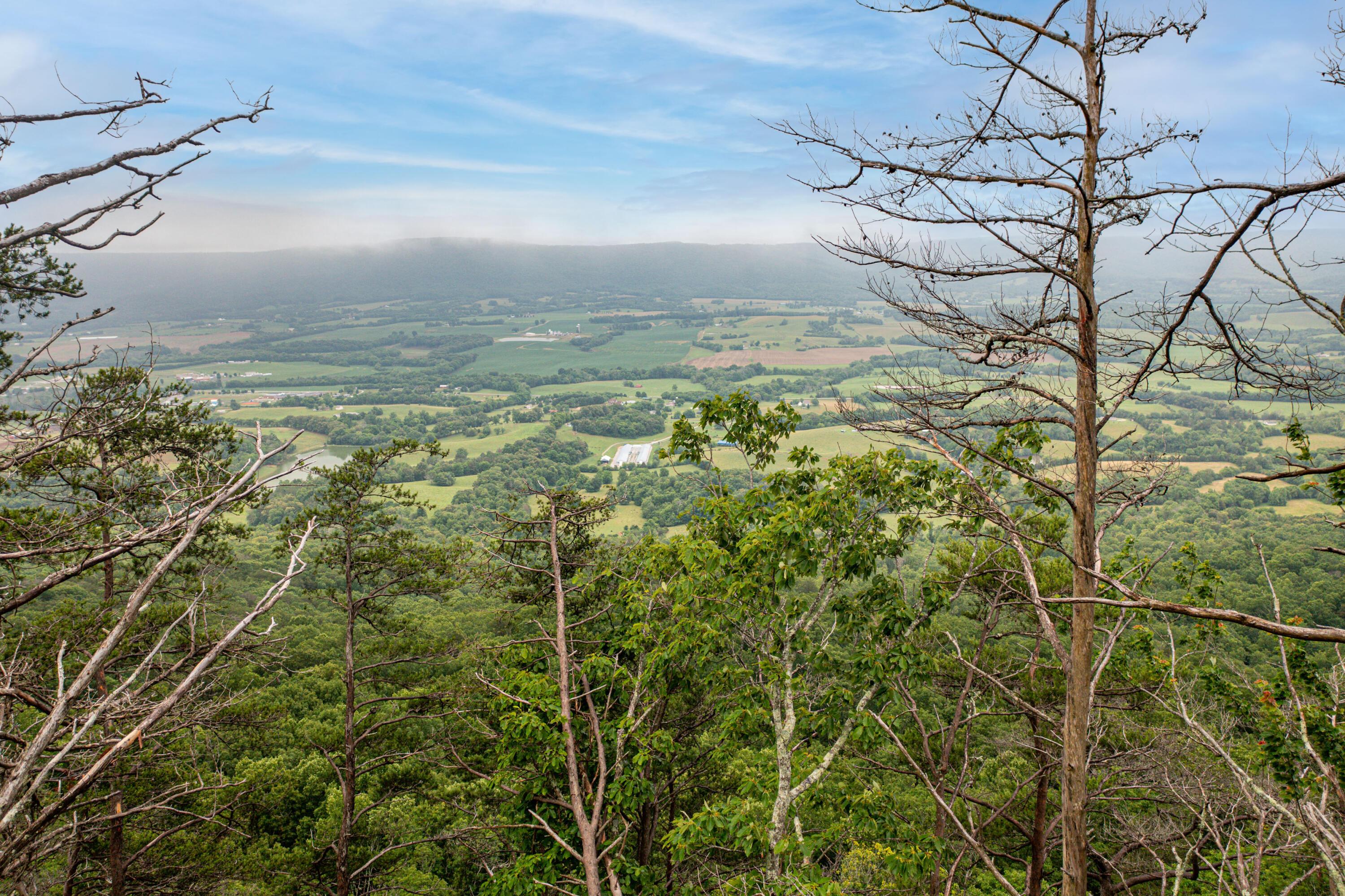 Image 3: Bluff Lot Views