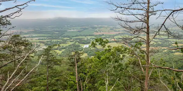 Image 3: Bluff Lot Views