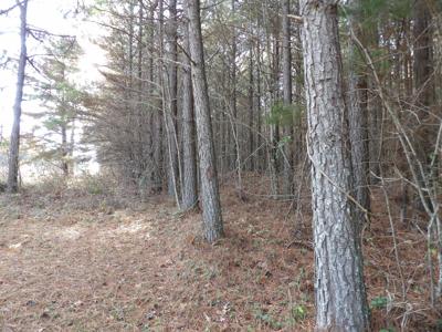 Lot 22 Summercity Road