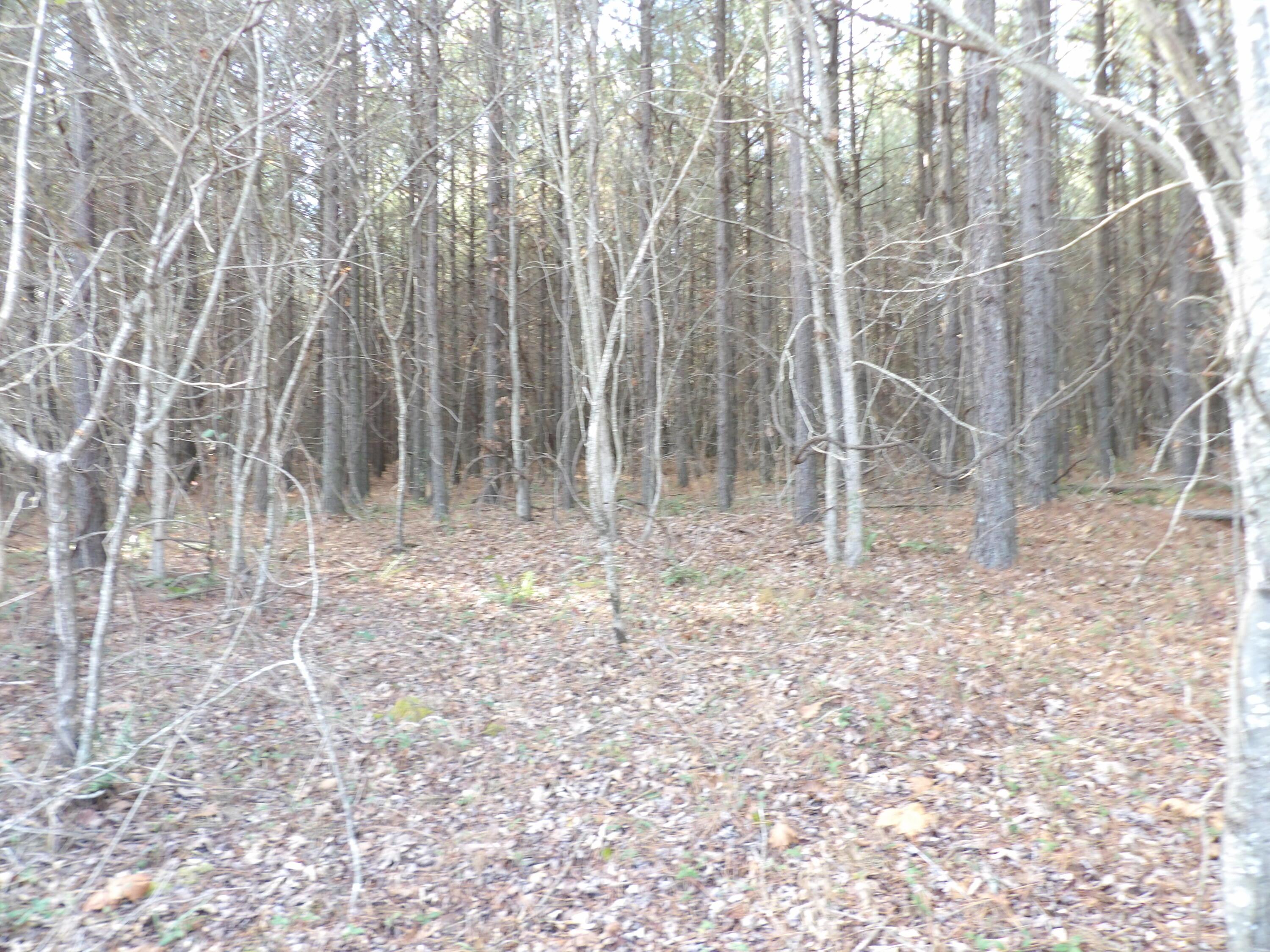 Image 3: 100_2119