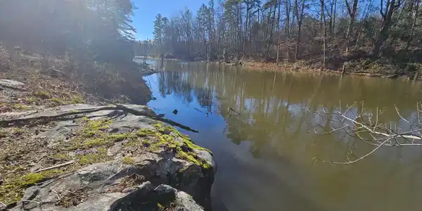 242 Ranger Creek Road