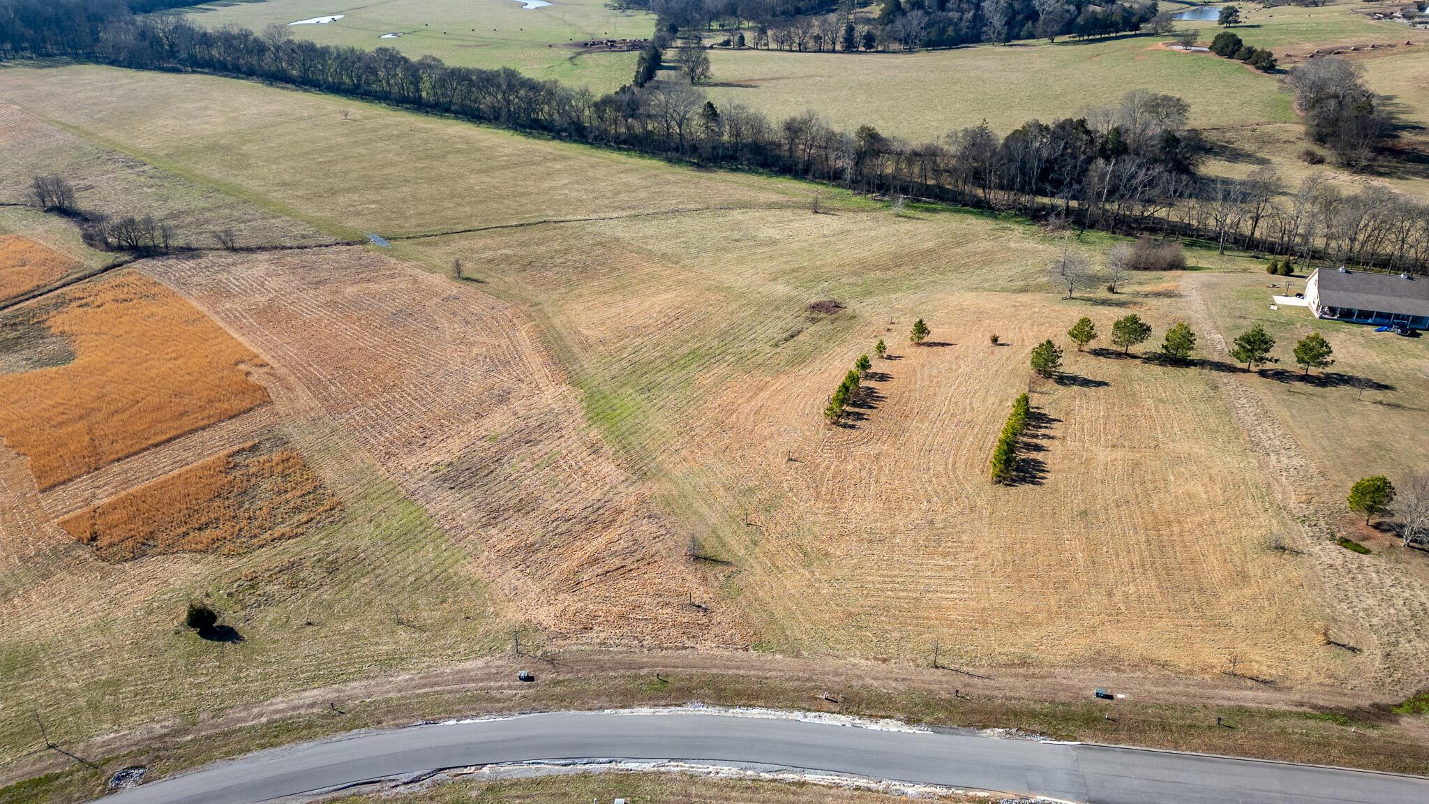 Image 2: DJI_0069-HDR