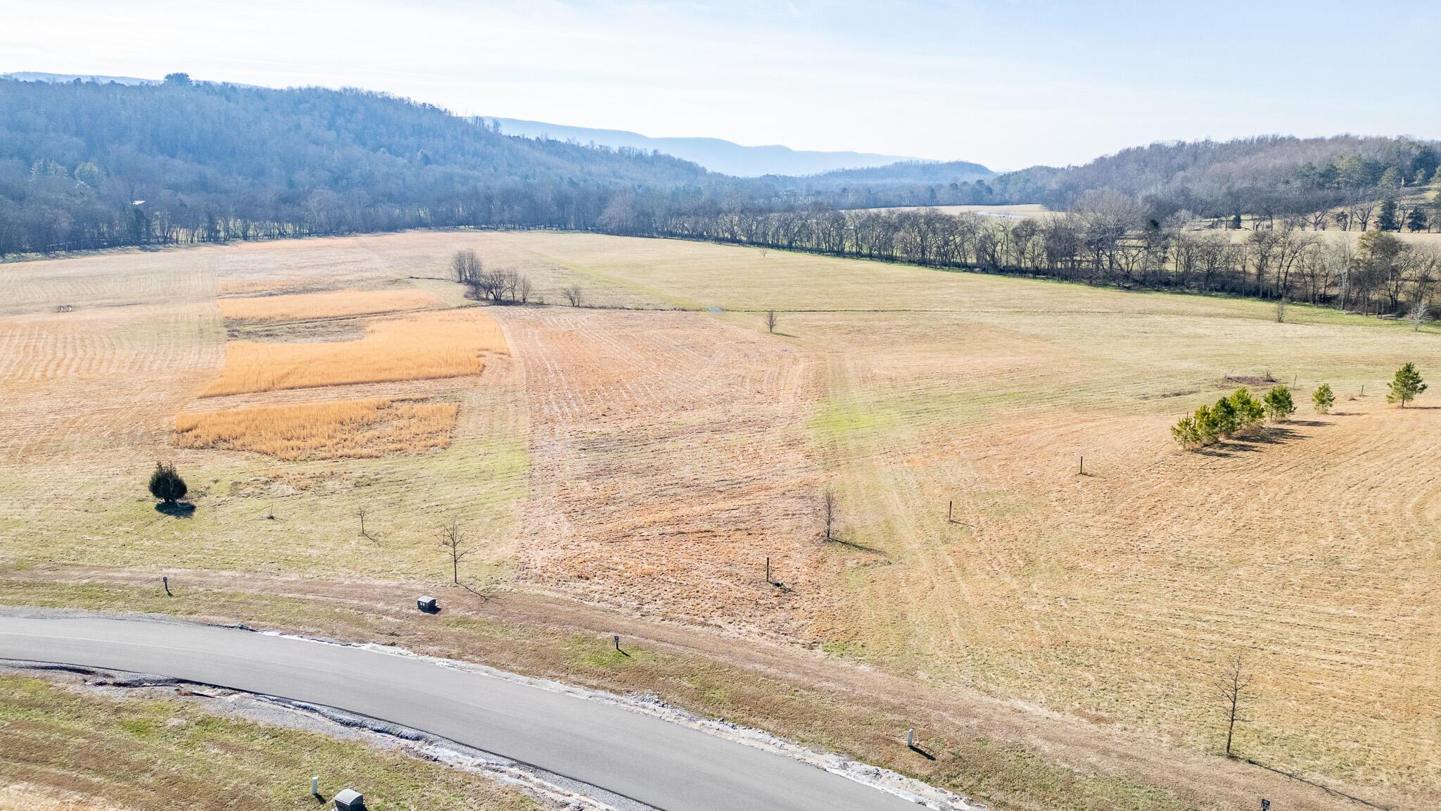 Image 3: DJI_0042-HDR