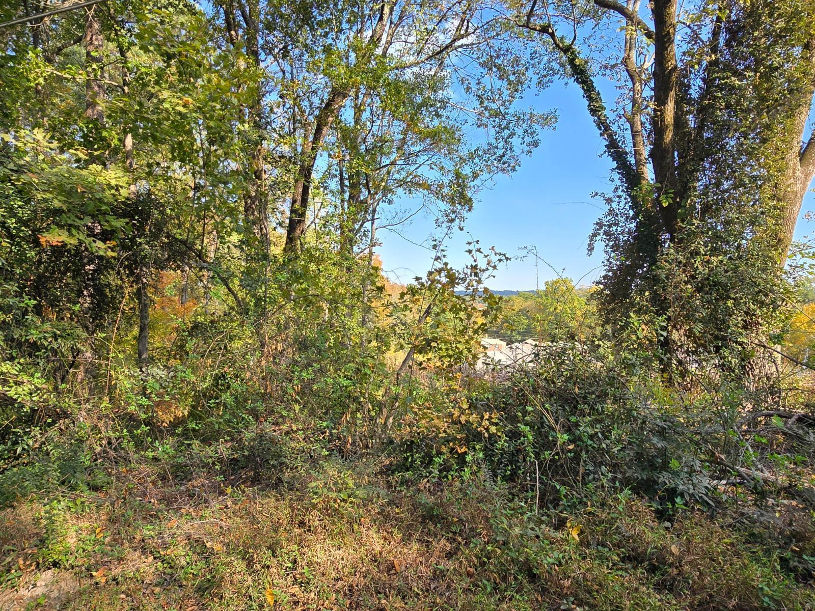 Image 4: 20241025_152342