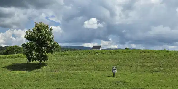 Image 2: 2