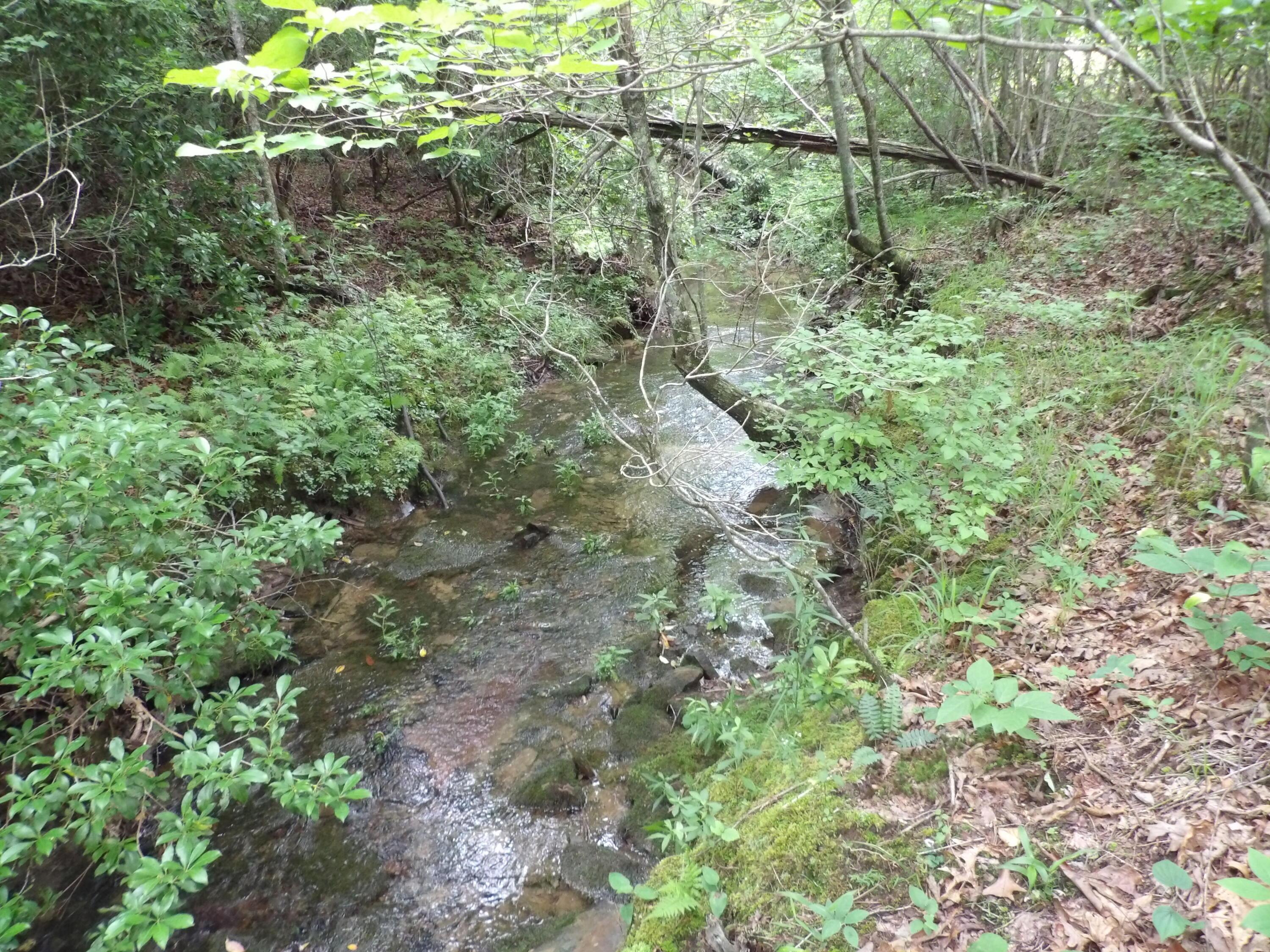 Image 3: 100_1549