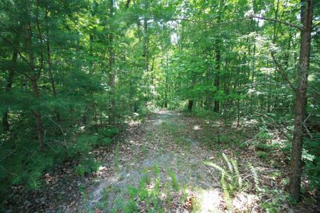 0 Wilderness Way