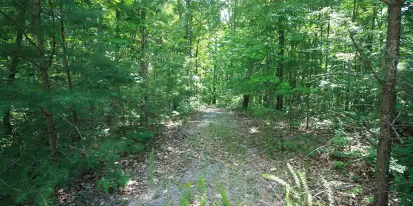 0 Wilderness Way