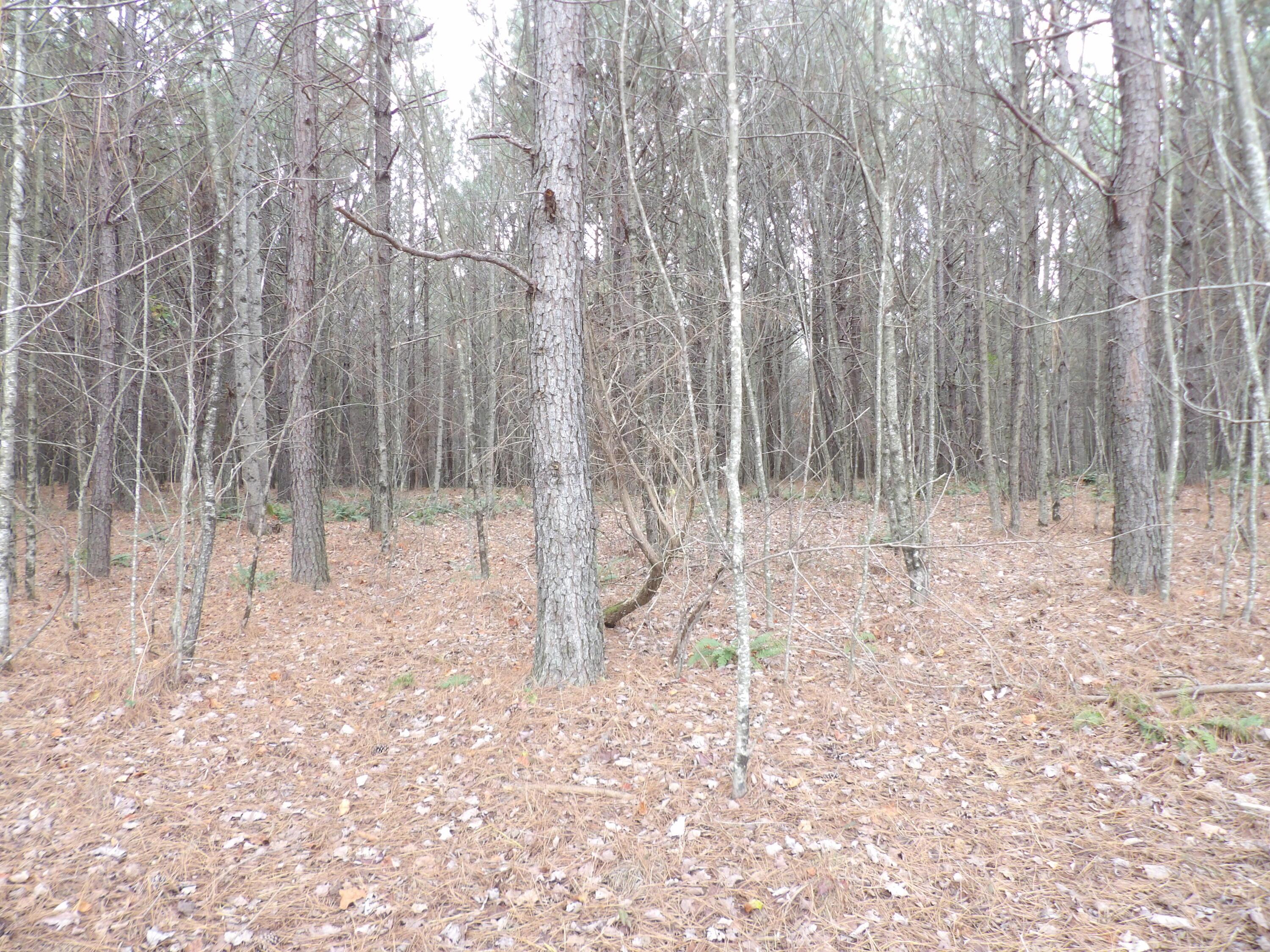 Image 4: 100_2061
