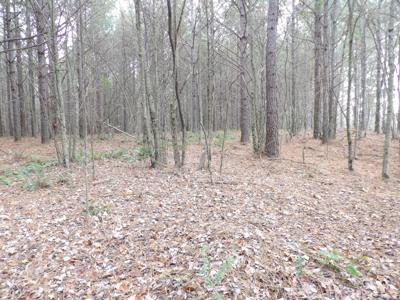 Lot 20 Summercity Road