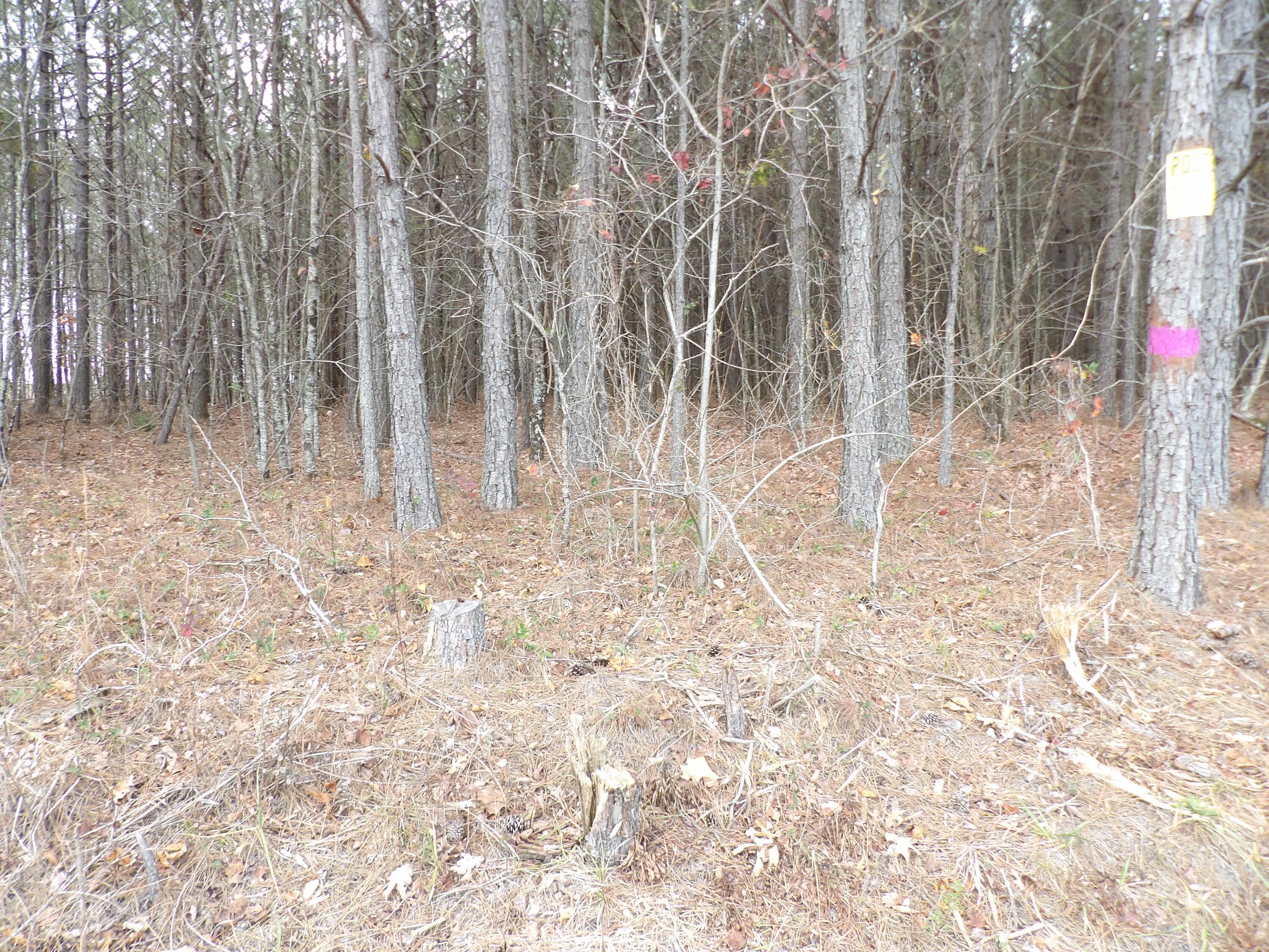 Image 3: 100_2060