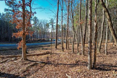 0 Raulston Falls Road