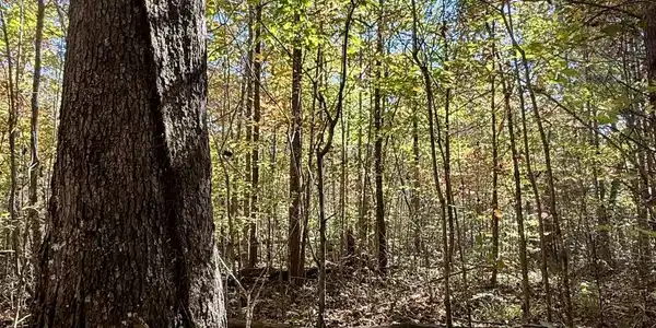 0 Owl Hollow Road