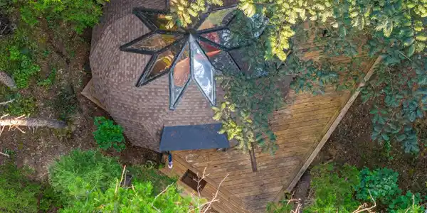 Image 2: A Treetop Dream