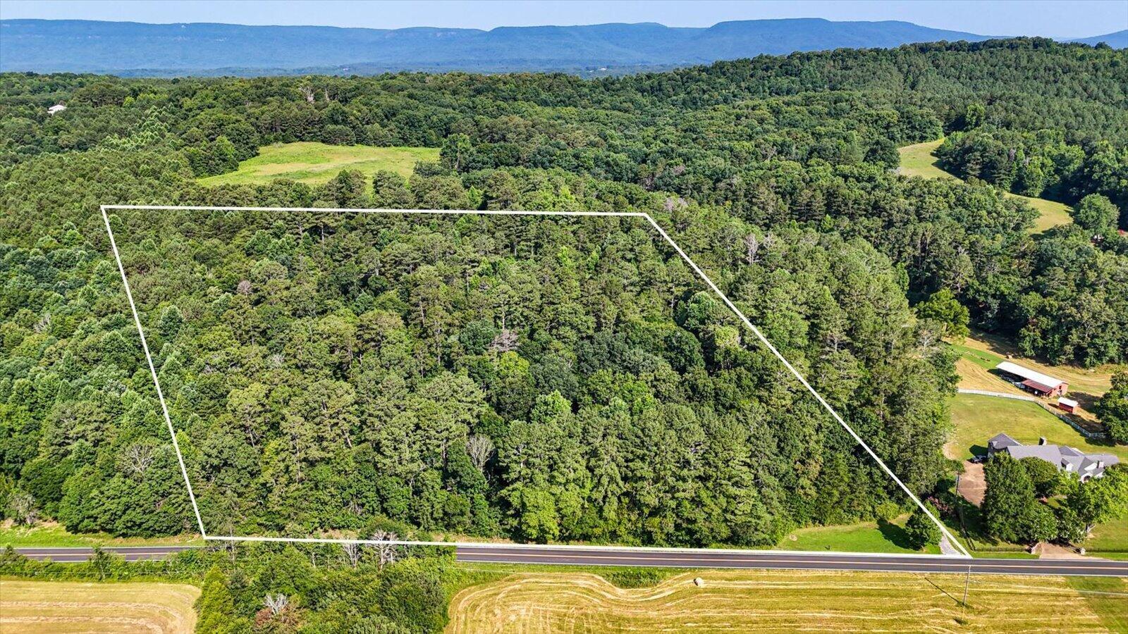 Image 3: 03-3676 Trion Hwy-3