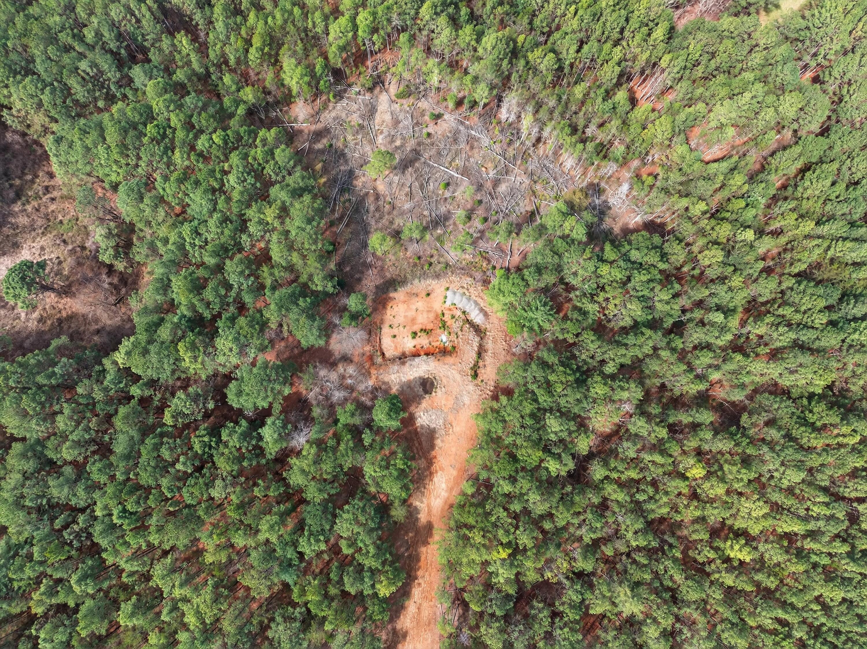 Image 3: 03-DJI_20260318134328_0312_D