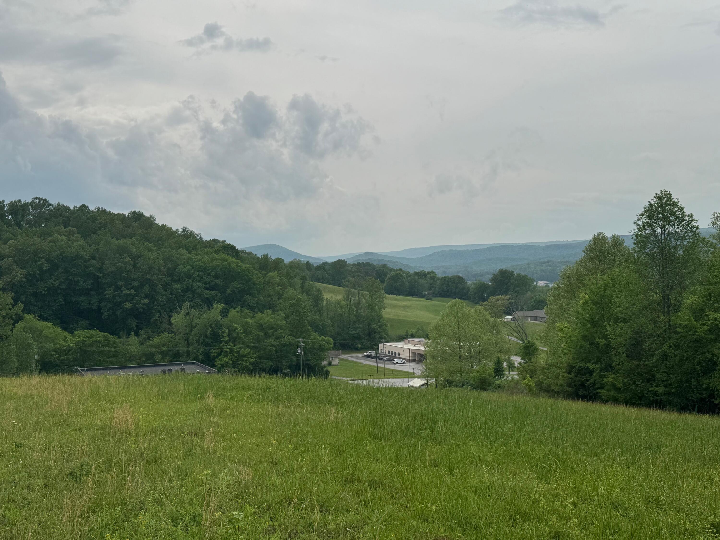 Image 2: IMG_5925