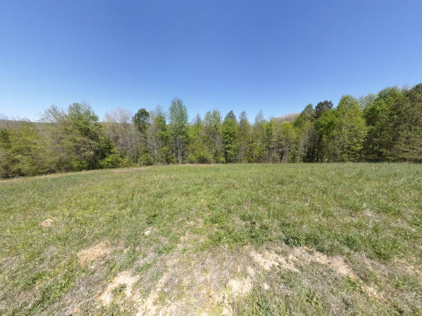 Image 4: Street View-6