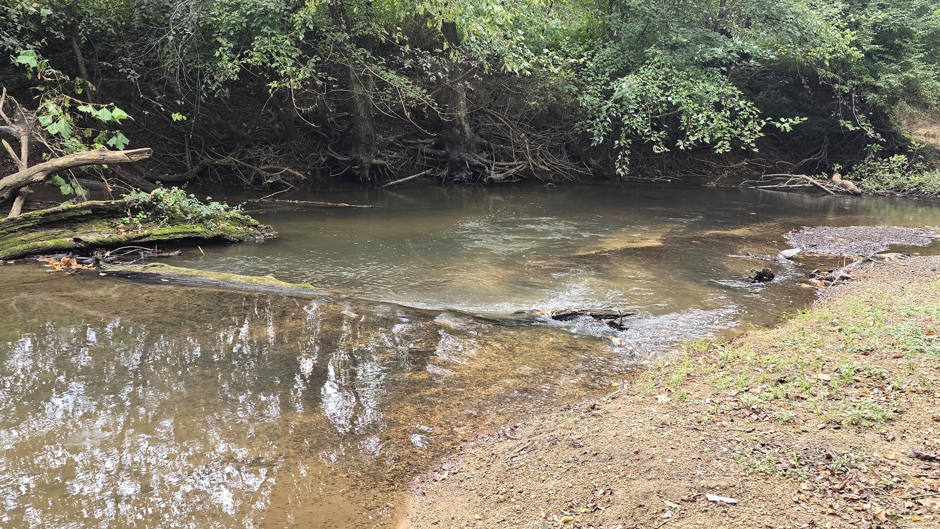 Image 2: 20250922_165640