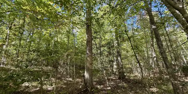 00 Owl Hollow Road