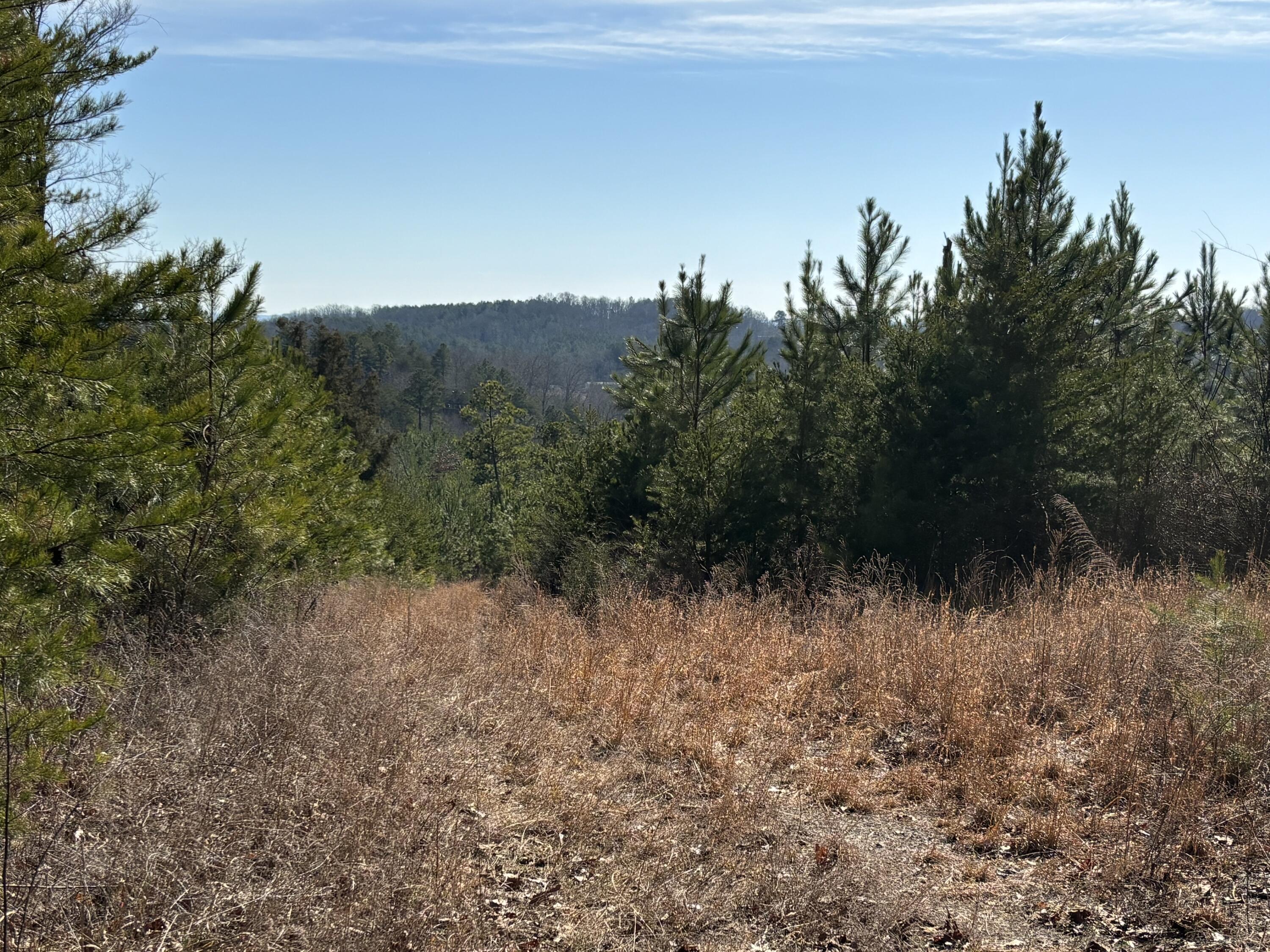 Image 1: Photo Jan 29 2025, 1 29 31 PM