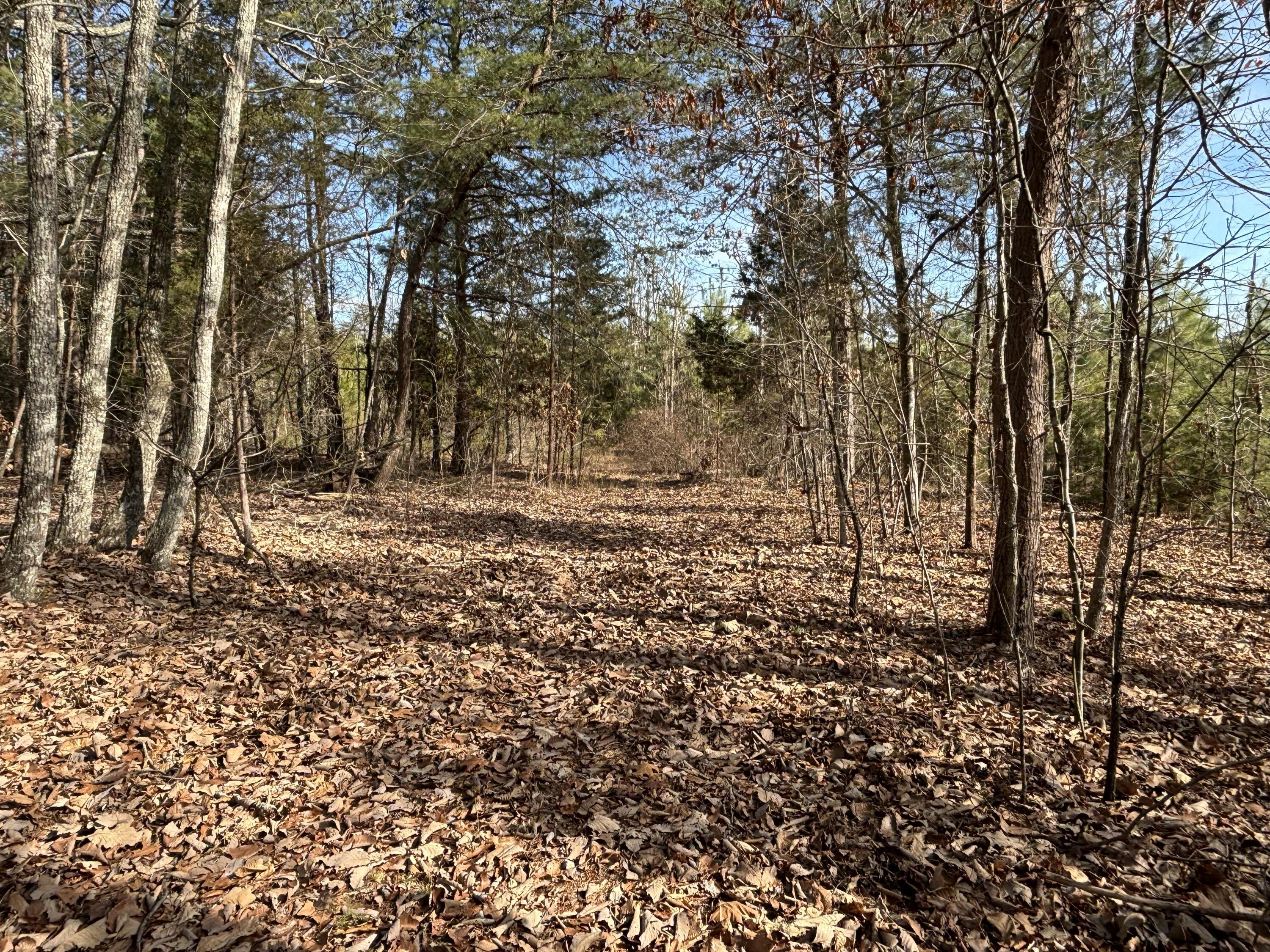 Image 2: Photo Jan 29 2025, 1 04 03 PM