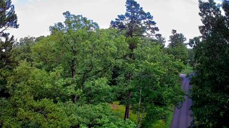 381 Patton School Road