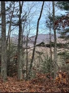 288 Frost Bottom Road