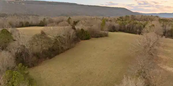 Image 3: 110-W Cove (60 Acres) - Sunset-53
