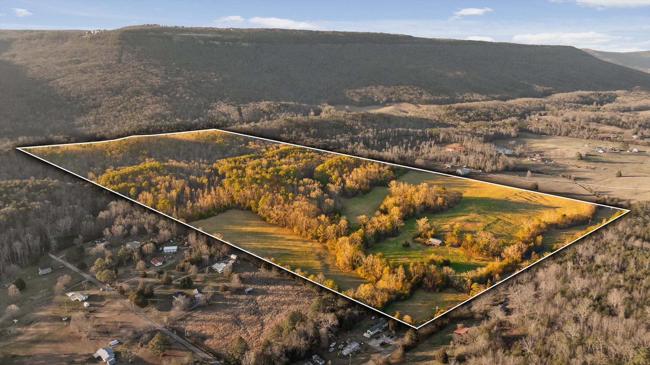 Image 1: 01-W Cove 90 Acre Overlay-1