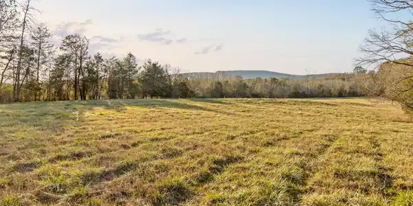Image 2: 46-W Cove (90 Acres)-31