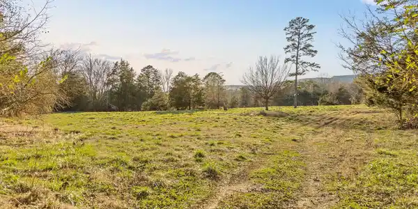 Image 3: 38-W Cove (90 Acres)-23