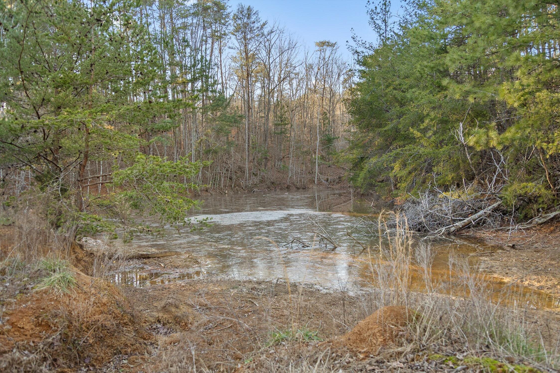 Image 4: 60-W Cove (90 Acres)-45