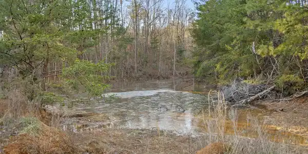 Image 4: 60-W Cove (90 Acres)-45