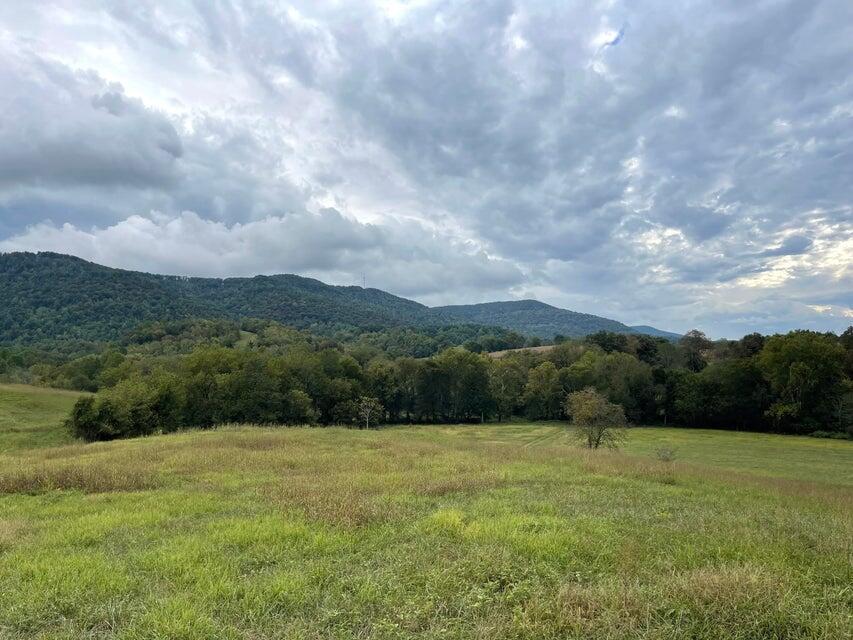 Image 4: east valley 2