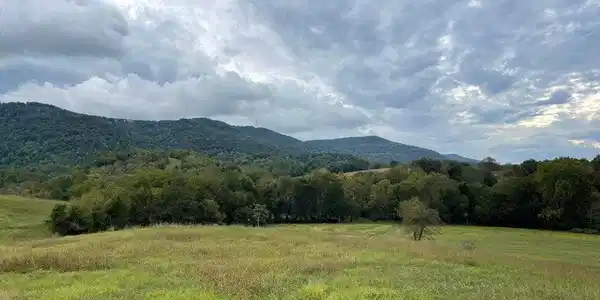 Image 4: east valley 2