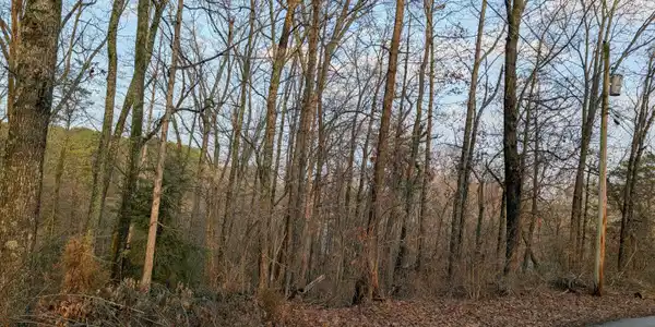 00 Pine Breeze Circle