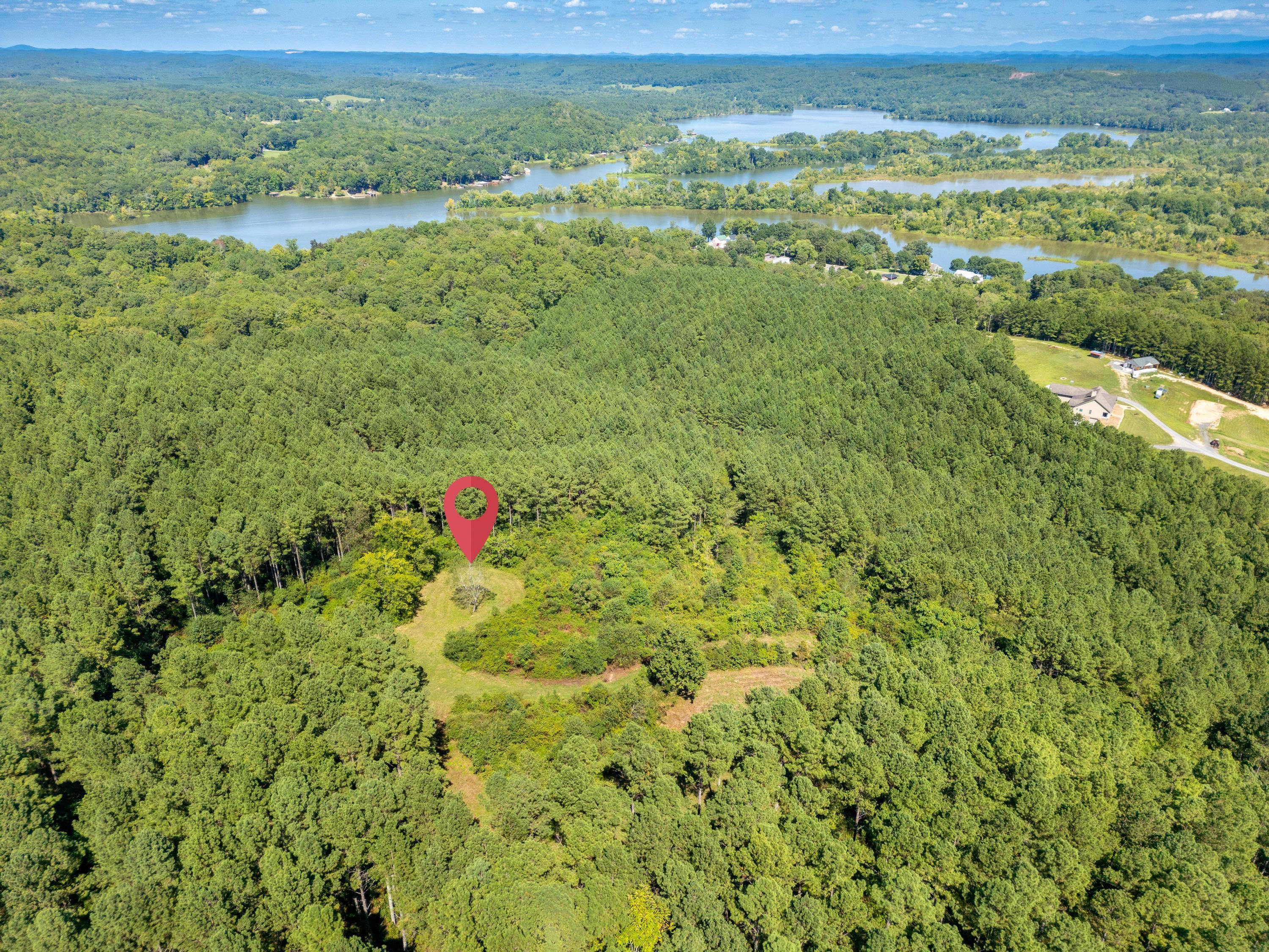 Image 3: 2025_08_August_847_Eads_Bluff_Rd_NW_0015