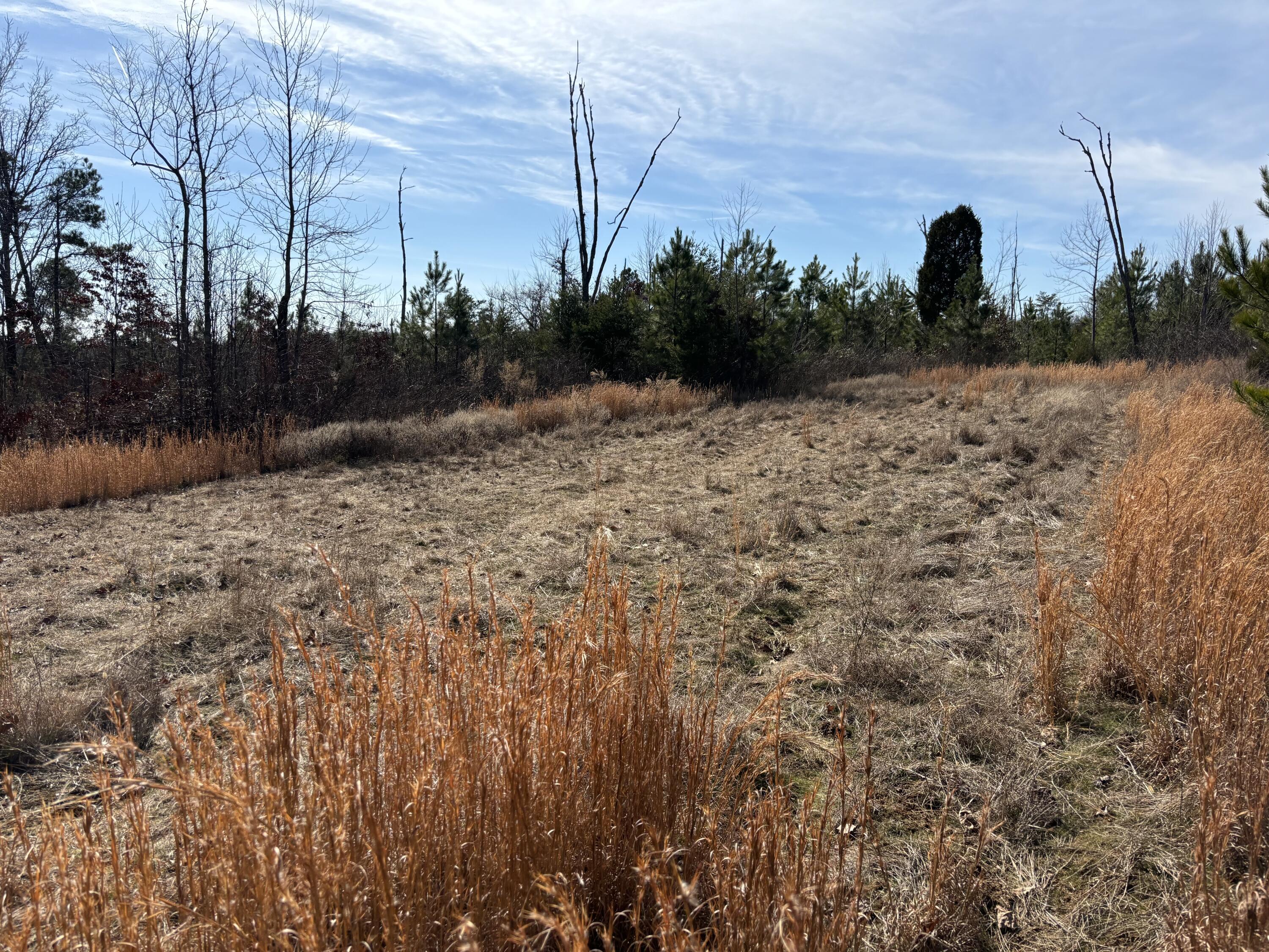 Image 3: Photo Jan 29 2025, 1 00 35 PM