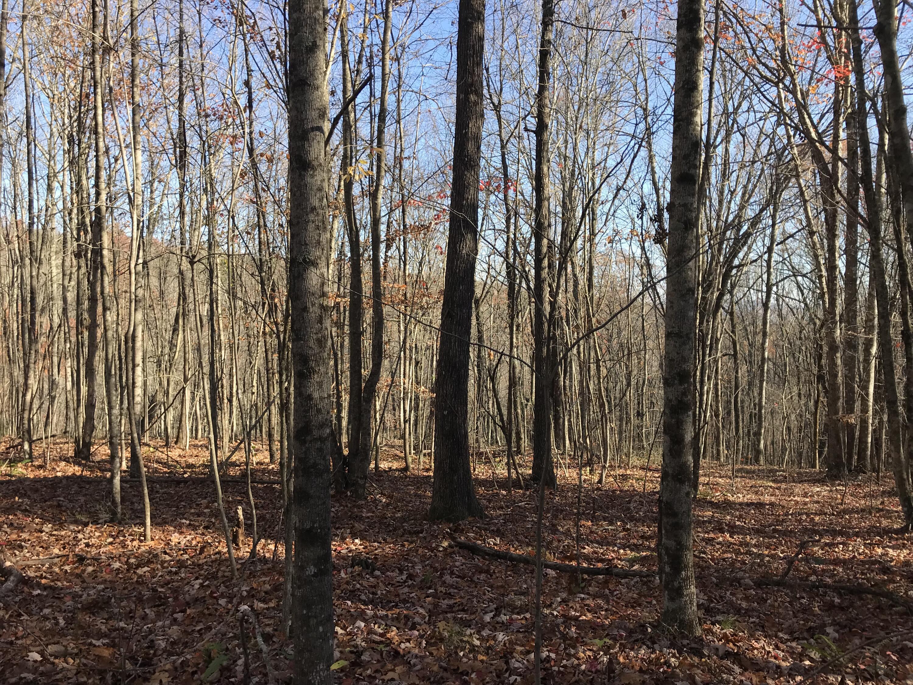 Image 2: IMG_9024