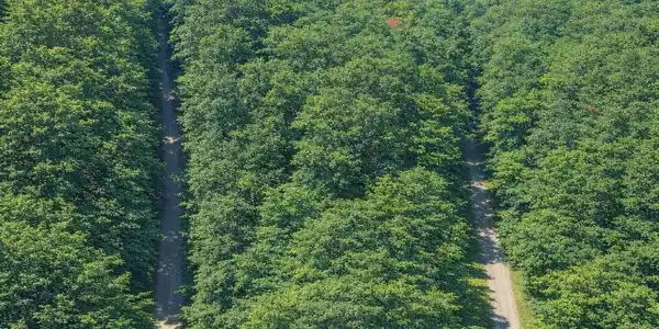 Image 4: drone-72-nb
