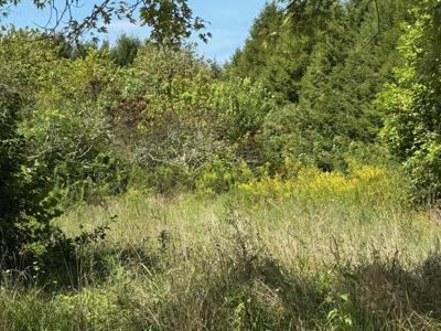 1235 Tatesville Road