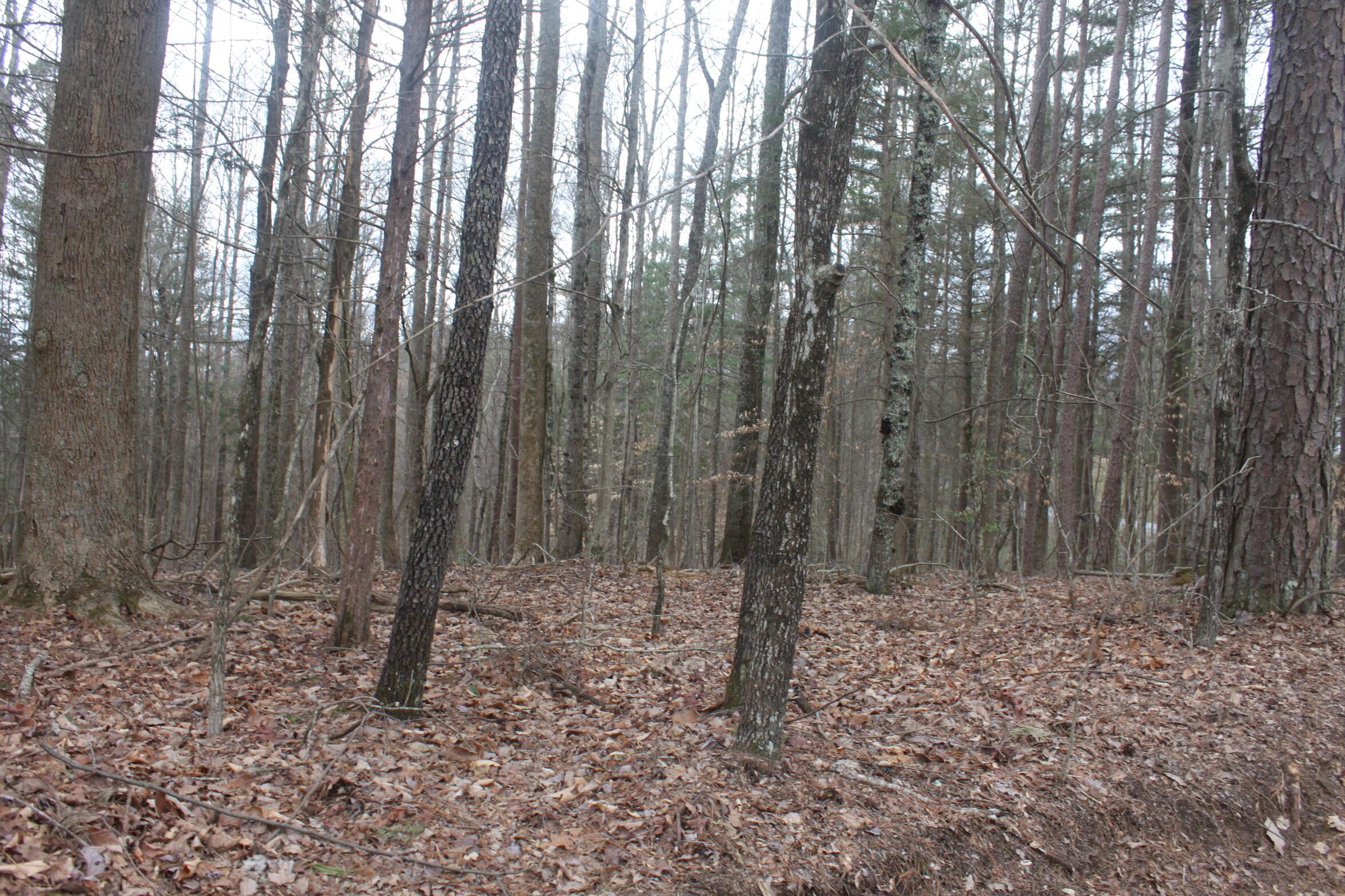 Image 1: Overton Retreat