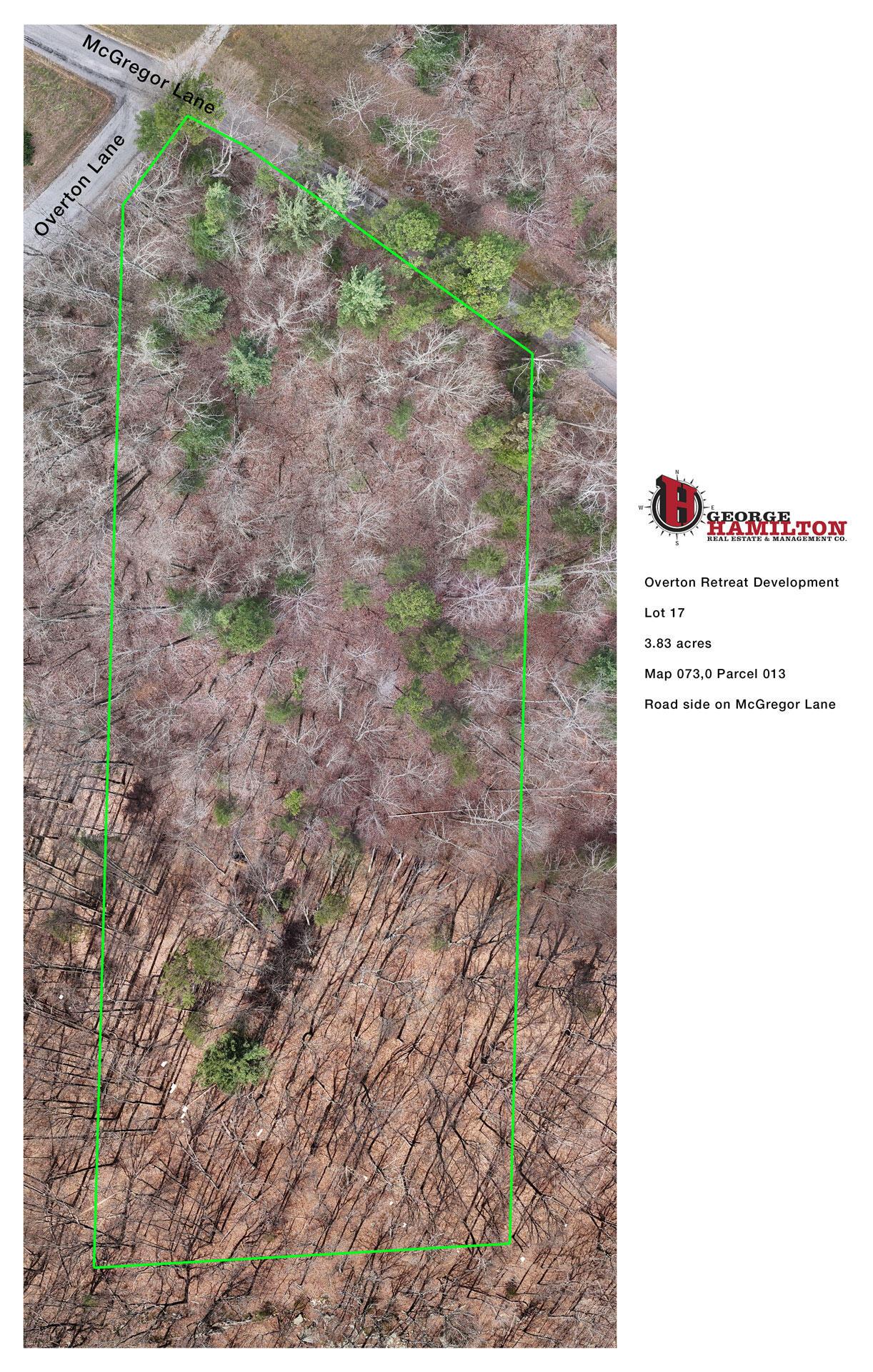 Image 2: Overton-Retreat-Development---Lot-17_LOW