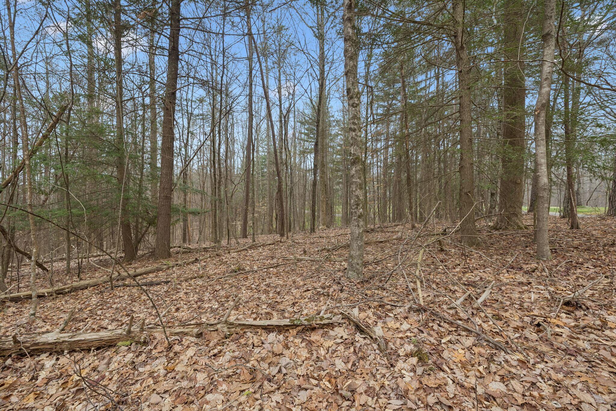 Image 4: 3-8 Long Mountain Trail - 003